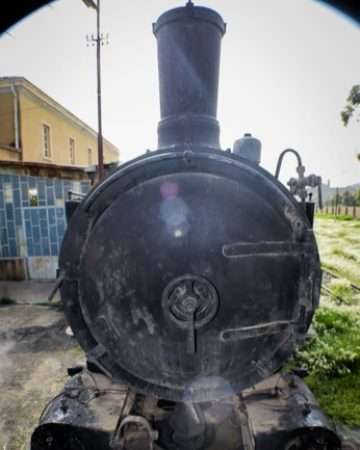 Vintage Train Ride
